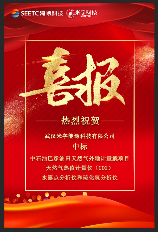 米字中標(biāo)中石油巴彥油田天然氣外輸計量撬